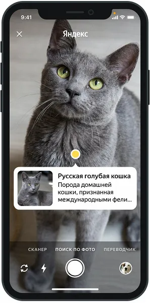 Умная камера в приложении Яндекс расскажет всё об окружении