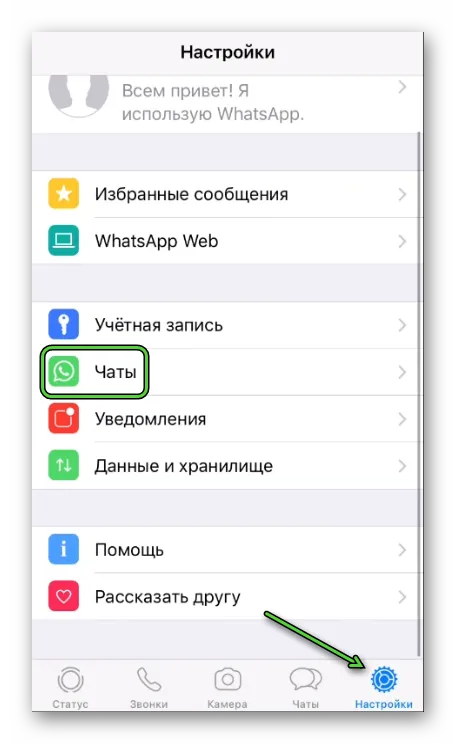 Пункт чат в настройках мессенджера iPhone