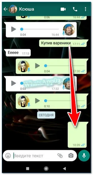 SMS на WhatsApp