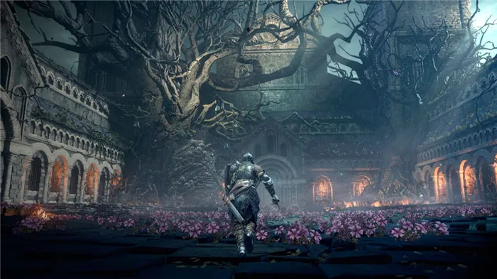Прохождение Dark Souls 3 Проклятое великое дерево