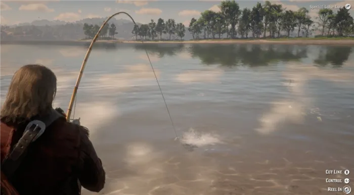 Положить другую наживку после поимки рыбы - Рыбалка в Red Dead Redemption 2 - Основы игры - Руководство по Red Dead Redemption 2