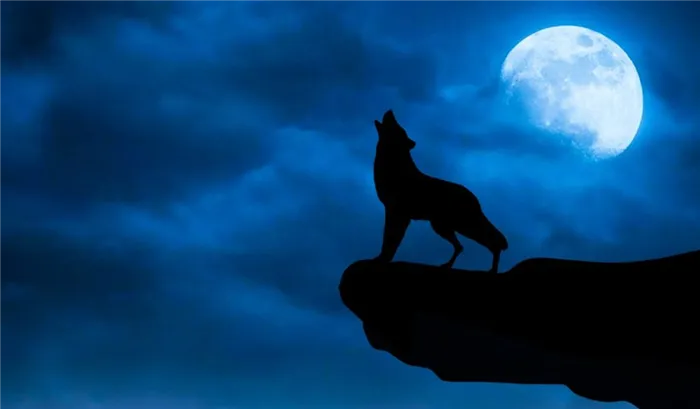 Популярное изображение волков, воющих на луну.