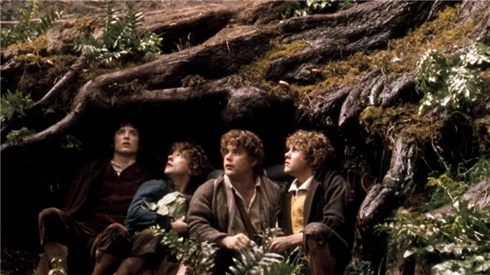 Элайджа Вуд в роли Фродо в кадре из фильма 