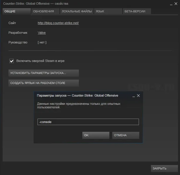 Как открыть консоль в CS GO