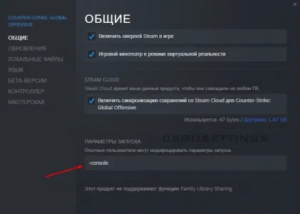 включаем консоль через параметры запуска csgo