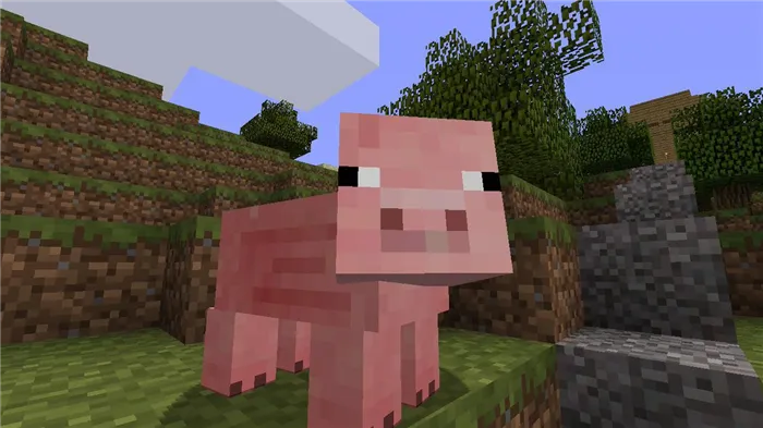 развести свиней