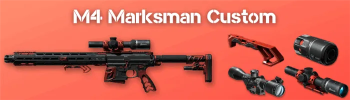 M4 Marksman Custom Варфейс
