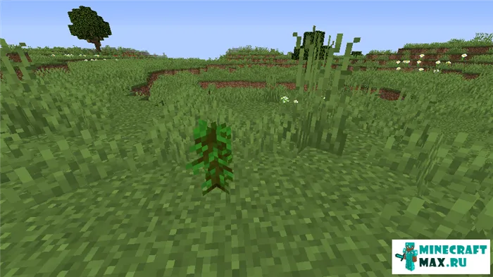 Как сделать саженец тропического дерева в Майнкрафт | Скриншот 1