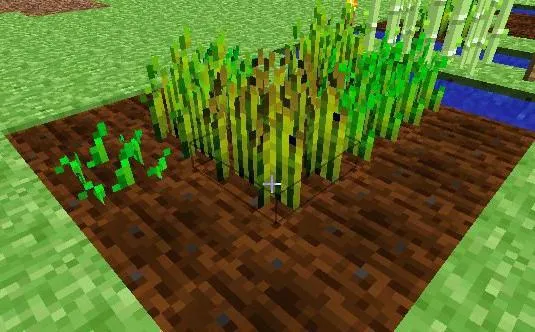 Как сделать саженец тропического дерева в горшке в Майнкрафте