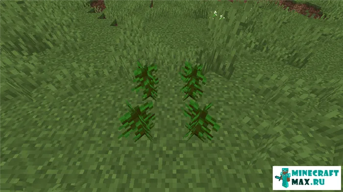Как сделать саженец тропического дерева в Майнкрафт | Скриншот 2