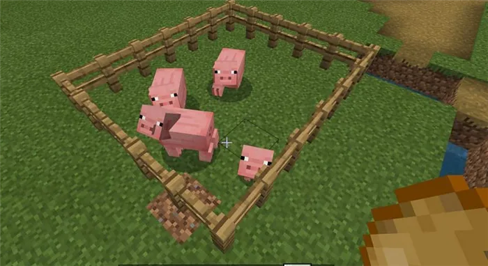 Как разводить свиней в Minecraft