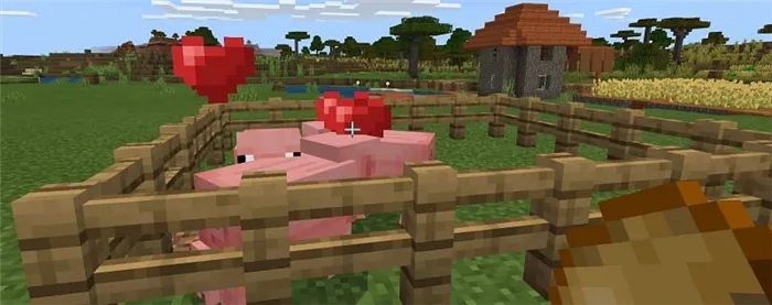  Как разводить свиней в Minecraft2 